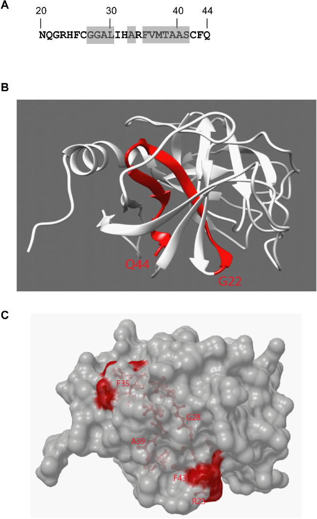 Figure 3.