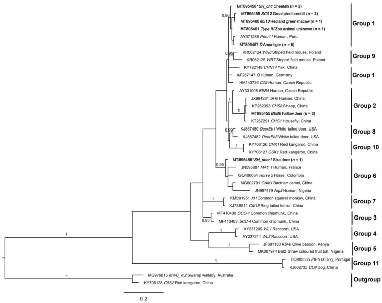 Figure 2