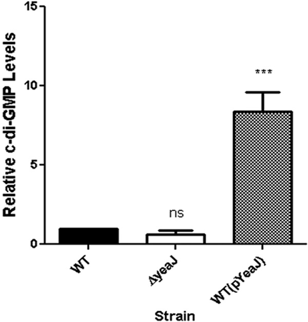 Fig 5