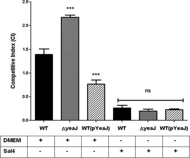 Fig 6