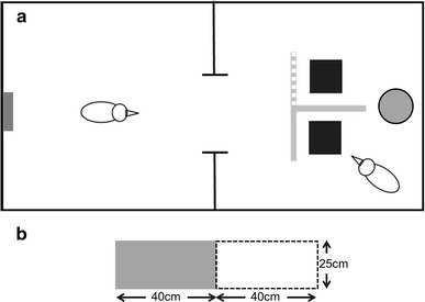 Fig. 1