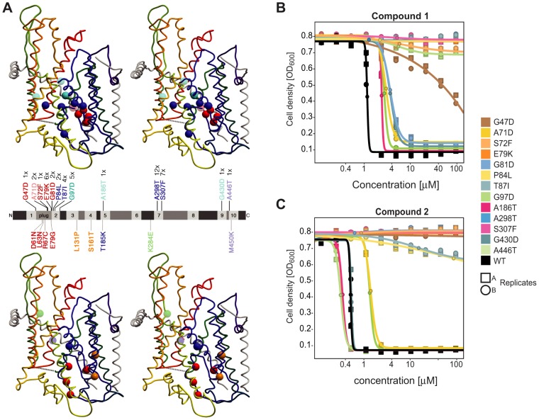 Fig. 3.