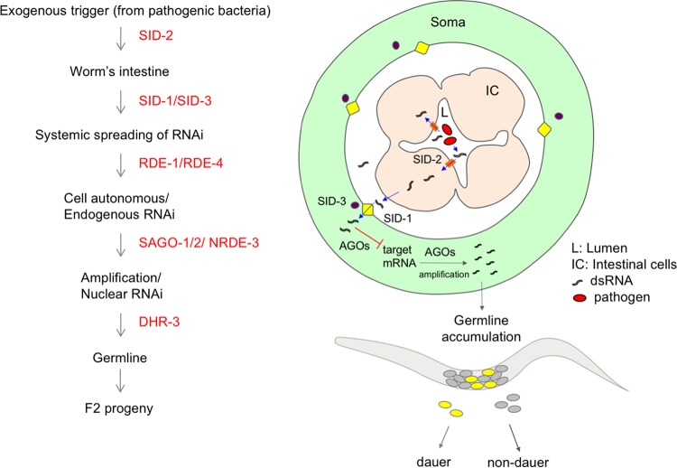 FIG 8 