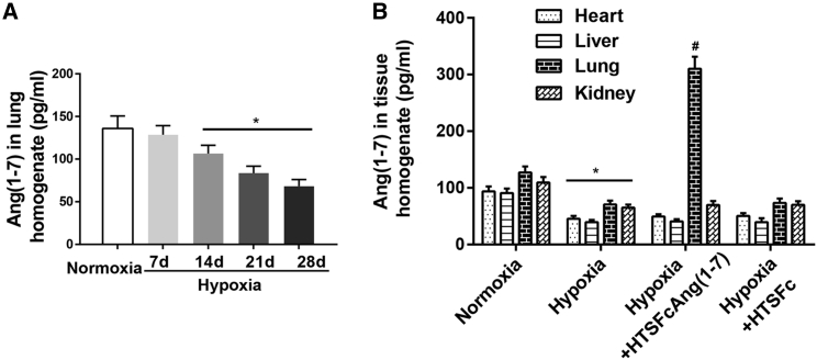 Figure 6