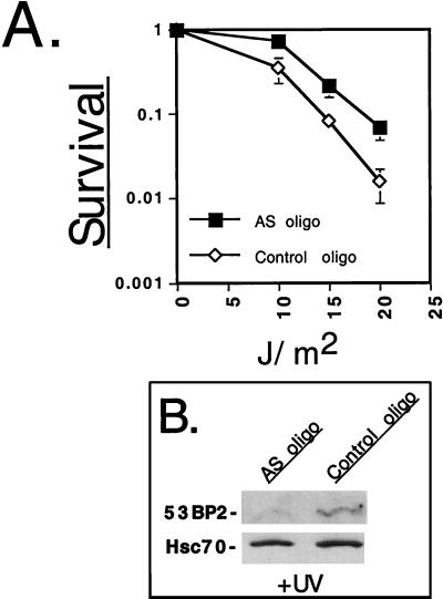 FIG. 7