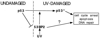 FIG. 8