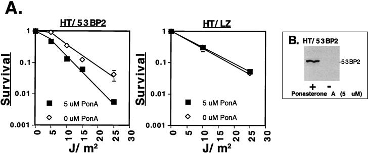 FIG. 6