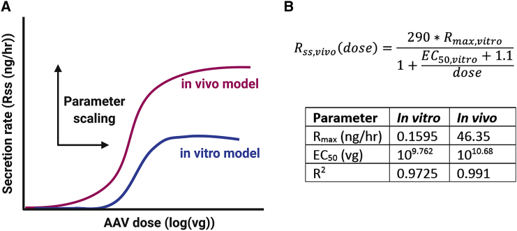 Figure 5