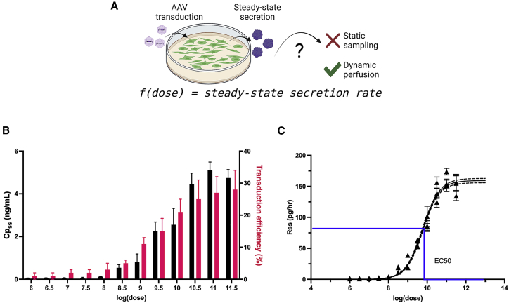 Figure 4