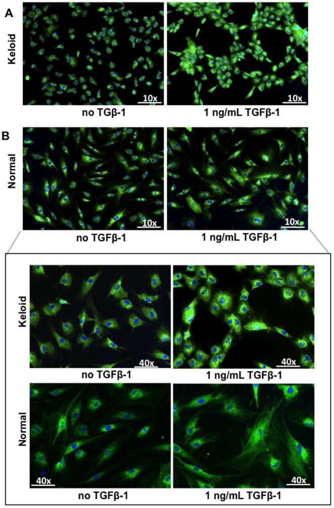 Figure 10