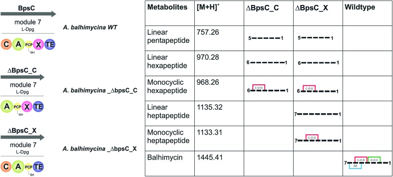 Fig. 7