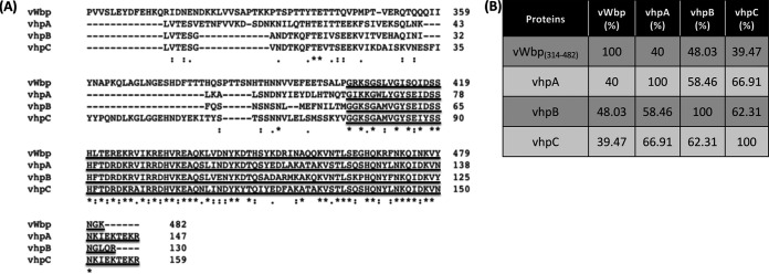 FIG 1