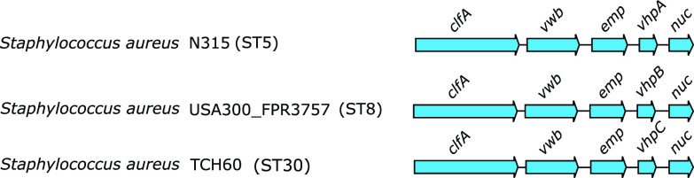 FIG 2