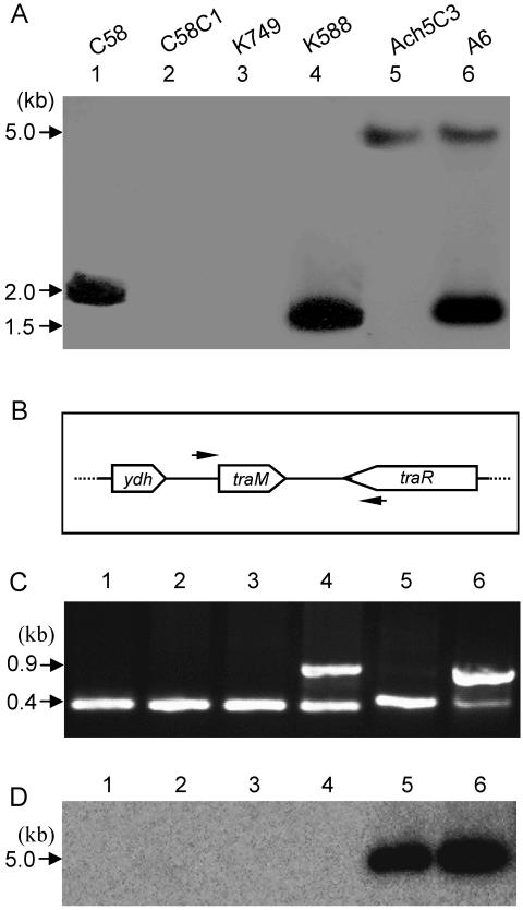 FIG. 5.