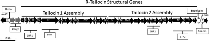 FIG 1