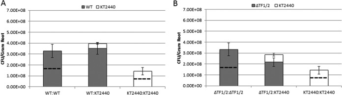 FIG 6