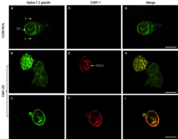 Fig. 2: