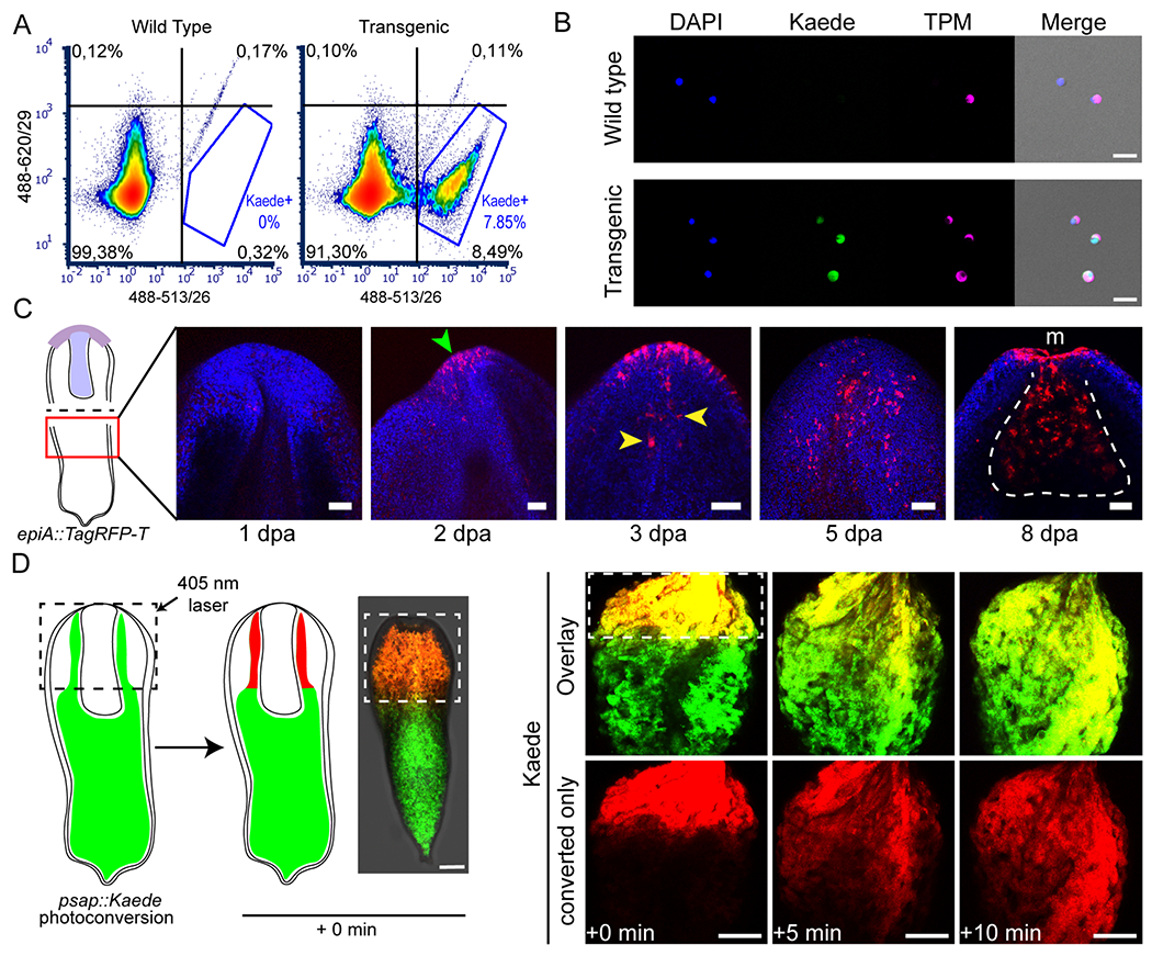 Figure 3: