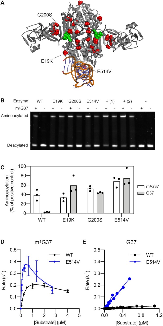 Figure 5.