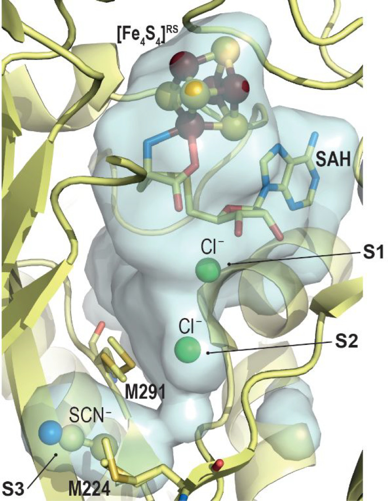 Figure 10