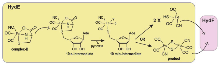 Figure 13