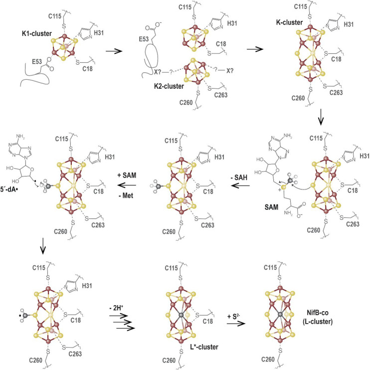 Figure 17