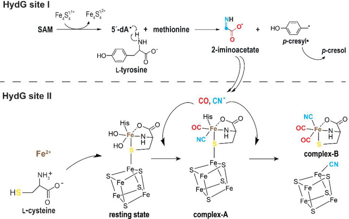 Figure 9