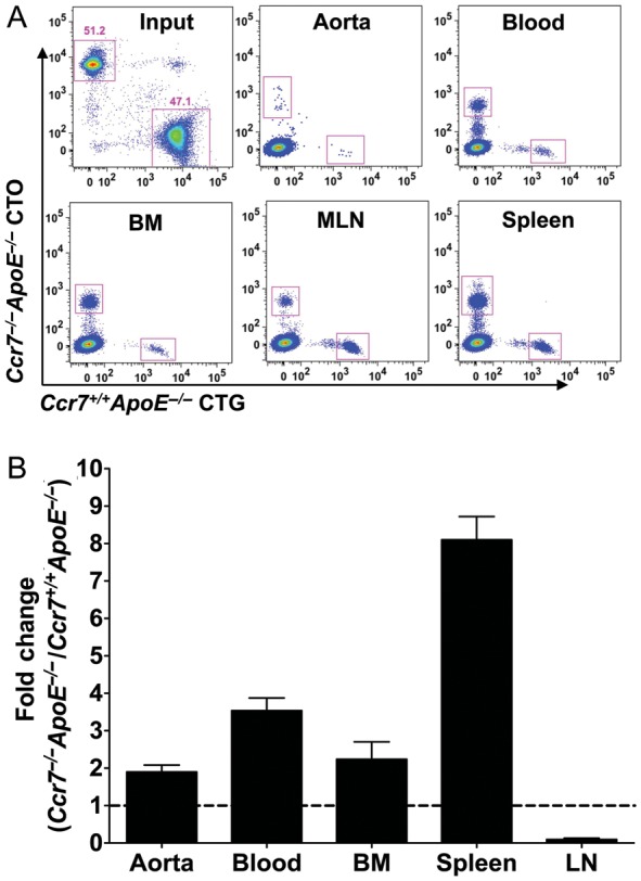 Figure 4