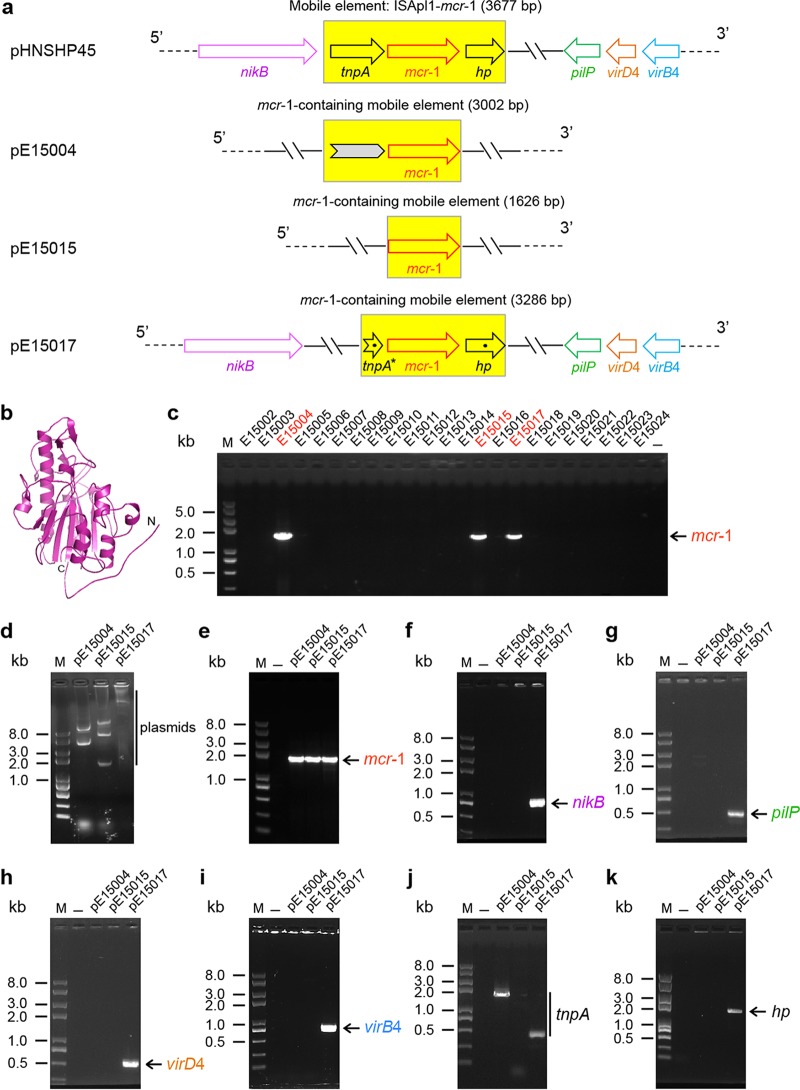 FIG 2 