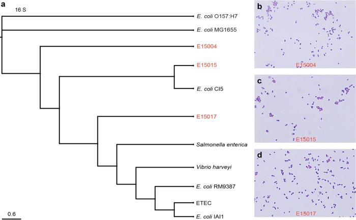 FIG 3 