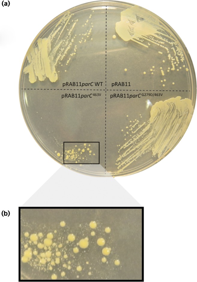 Fig. 6.