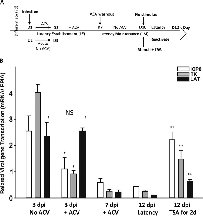 FIG 3