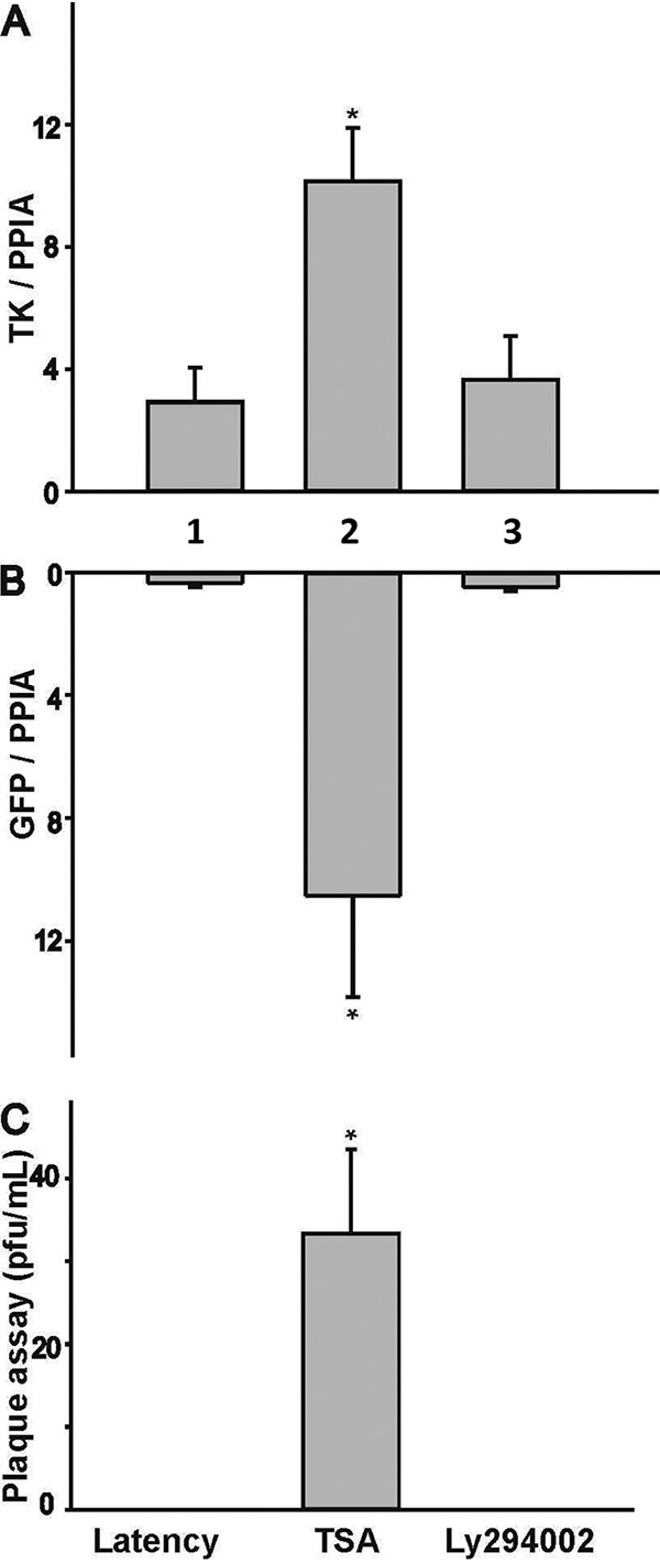 FIG 2