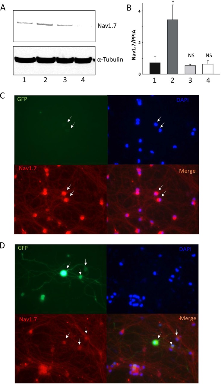 FIG 6