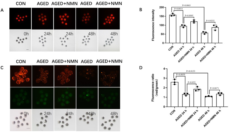 Fig 3