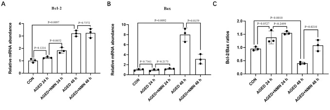 Fig 6