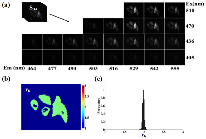 Fig. 6