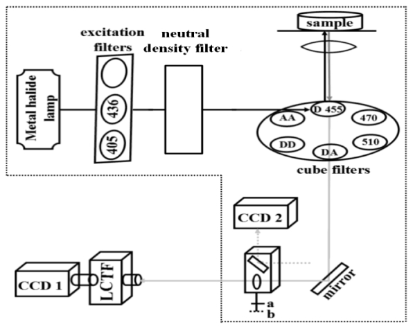 Fig. 2