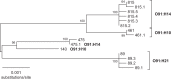 FIG 1