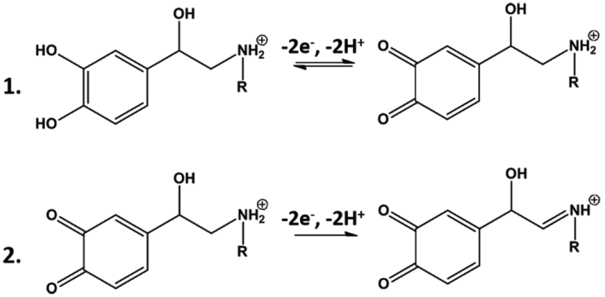 Scheme 1.