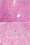 Figure 1.—