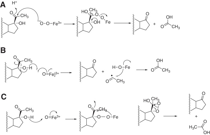 Figure 11.