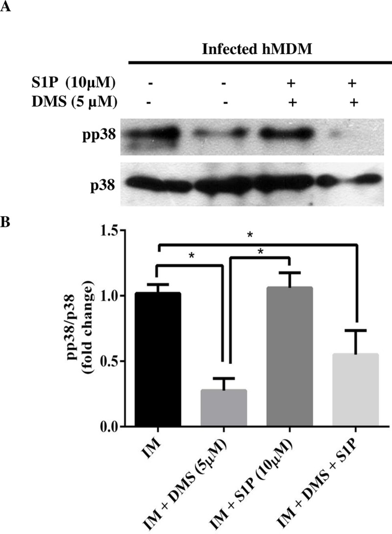 Fig 4