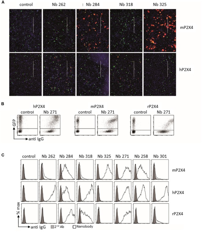 Figure 5