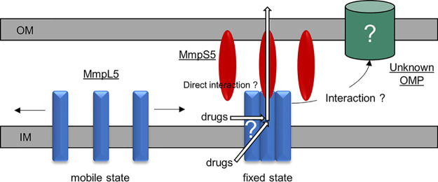 FIG 5