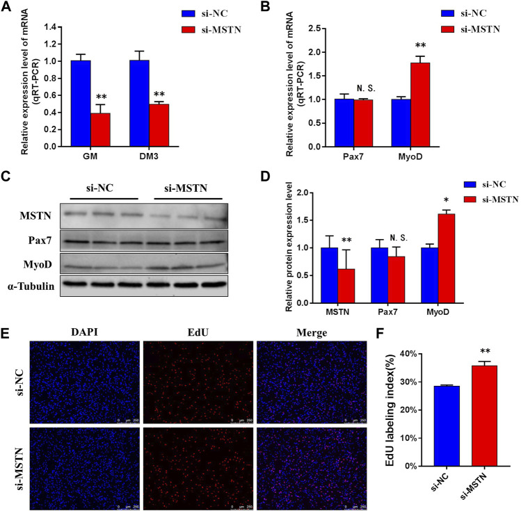 FIGURE 4