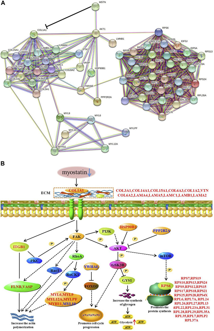 FIGURE 11