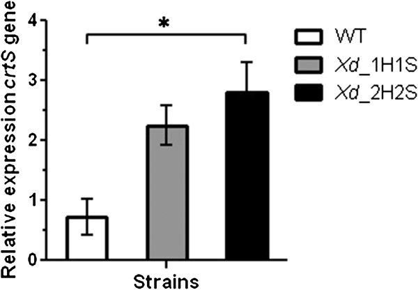 Figure 5