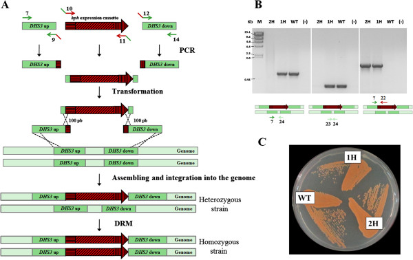 Figure 2