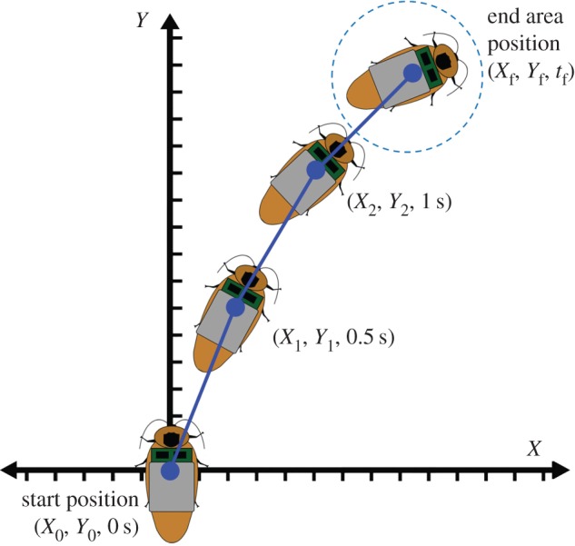 Figure 5.